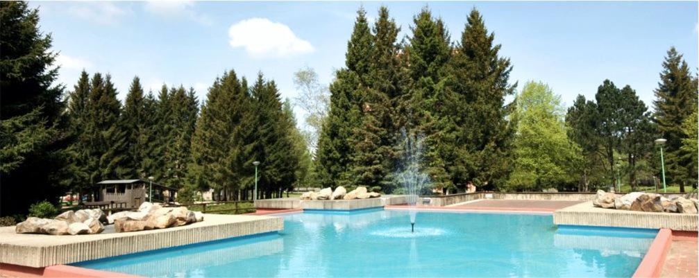 Ferienwohnung Schluesselblume Altenau (Lower-Saxony) Exterior foto